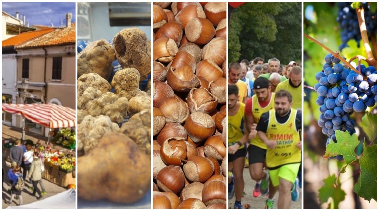 Cosa fare nel weekend 10-12 ottobre a Rimini e dintorni: sagre, musica, arte e tradizioni autunnali -