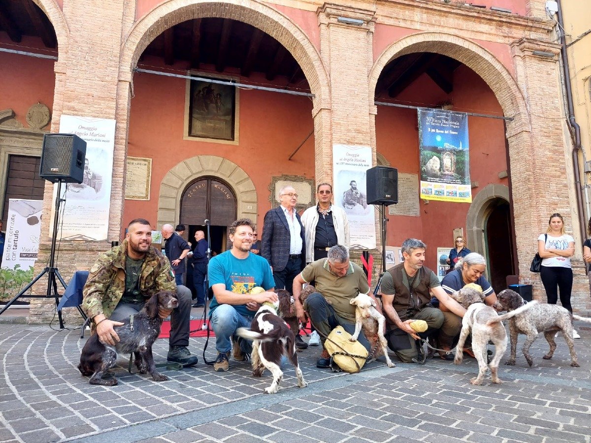 A Sant’Agata Feltria la sfida dei quattrozampe: torna la “Gara per cani da tartufo” -
