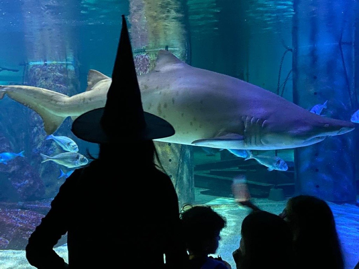 Halloween da brivido nei parchi Costa Edutainment della Romagna - 