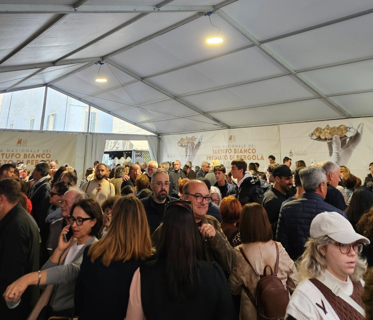 Fiera del Tartufo di Pergola, gran finale all’insegna del gusto e della musica -