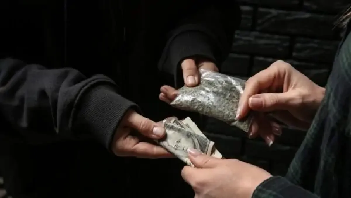 Fondi ai Comuni per contrastare lo spaccio vicino alle scuole, Morrone: "Stop ai venditori di morte" - Spaccio di marijuana REPERTORIO