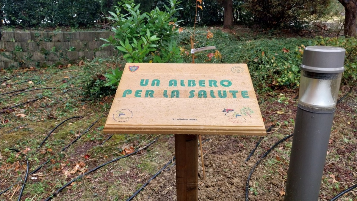 Carabinieri e Fadoi donano un albero all'ospedale Ceccarini di Riccione: ecco perché -