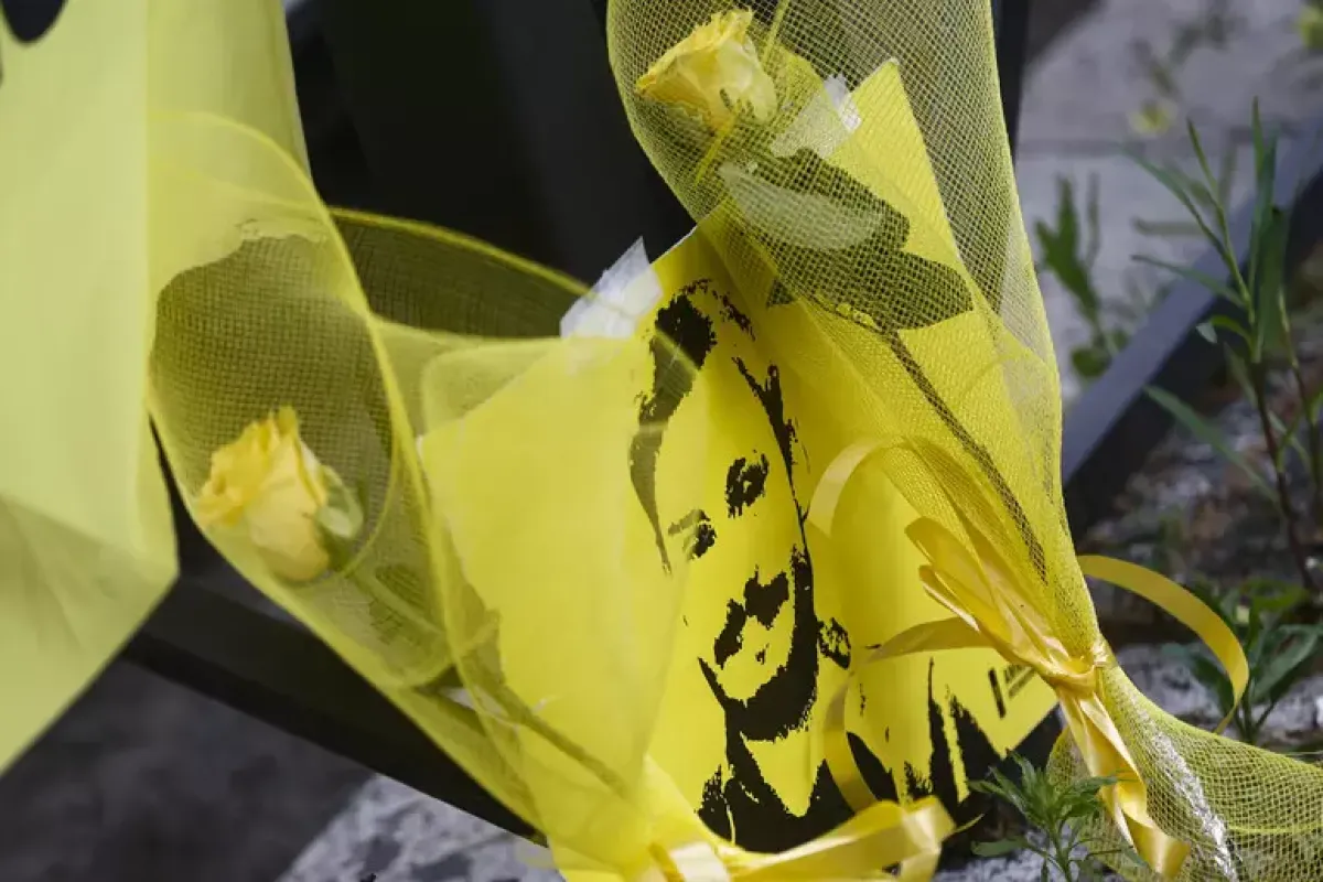 Processo per la morte di Giulio Regeni sospeso: gli atti inviati alla Consulta - © Ansa