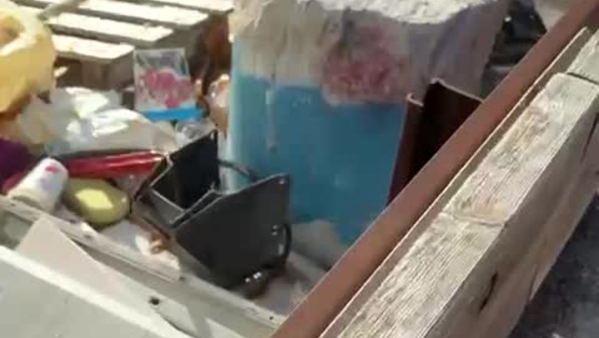 Segnalazione del lettore: "Discarica a cielo aperto in via Sinistra del Porto a Rimini" -
