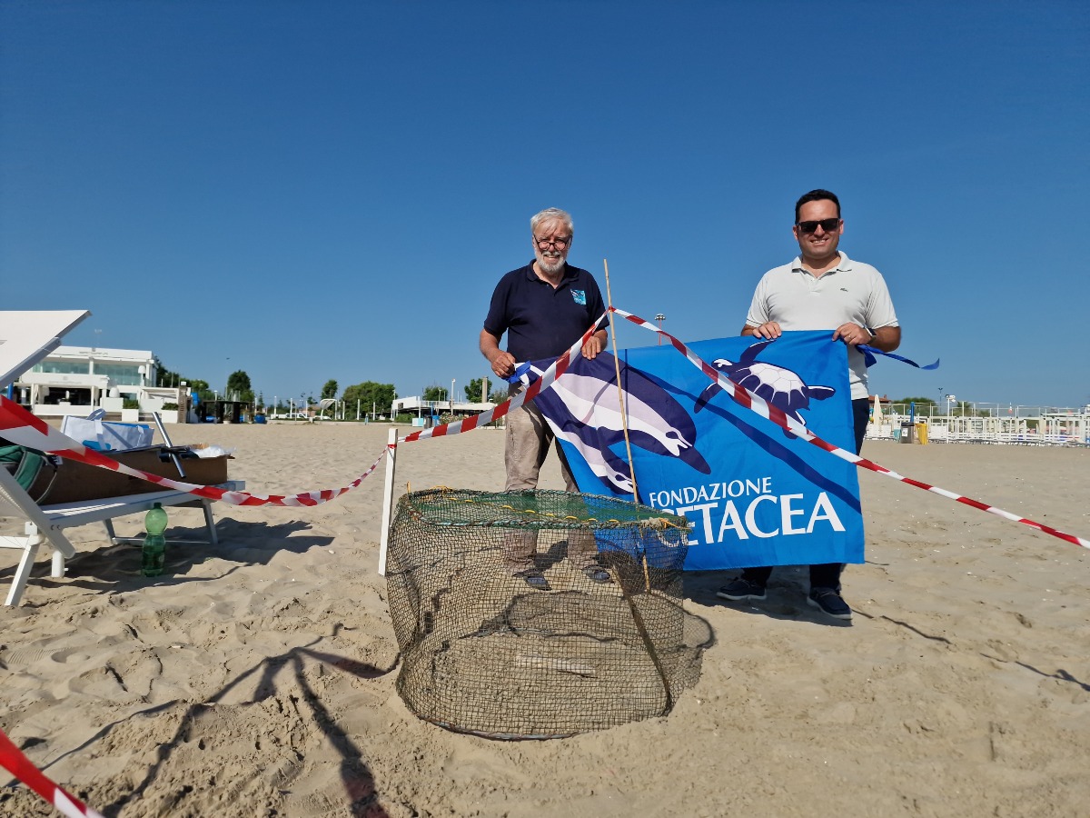 Il mare di Riccione si racconta: un’alleanza per proteggere la vita sotto le onde -