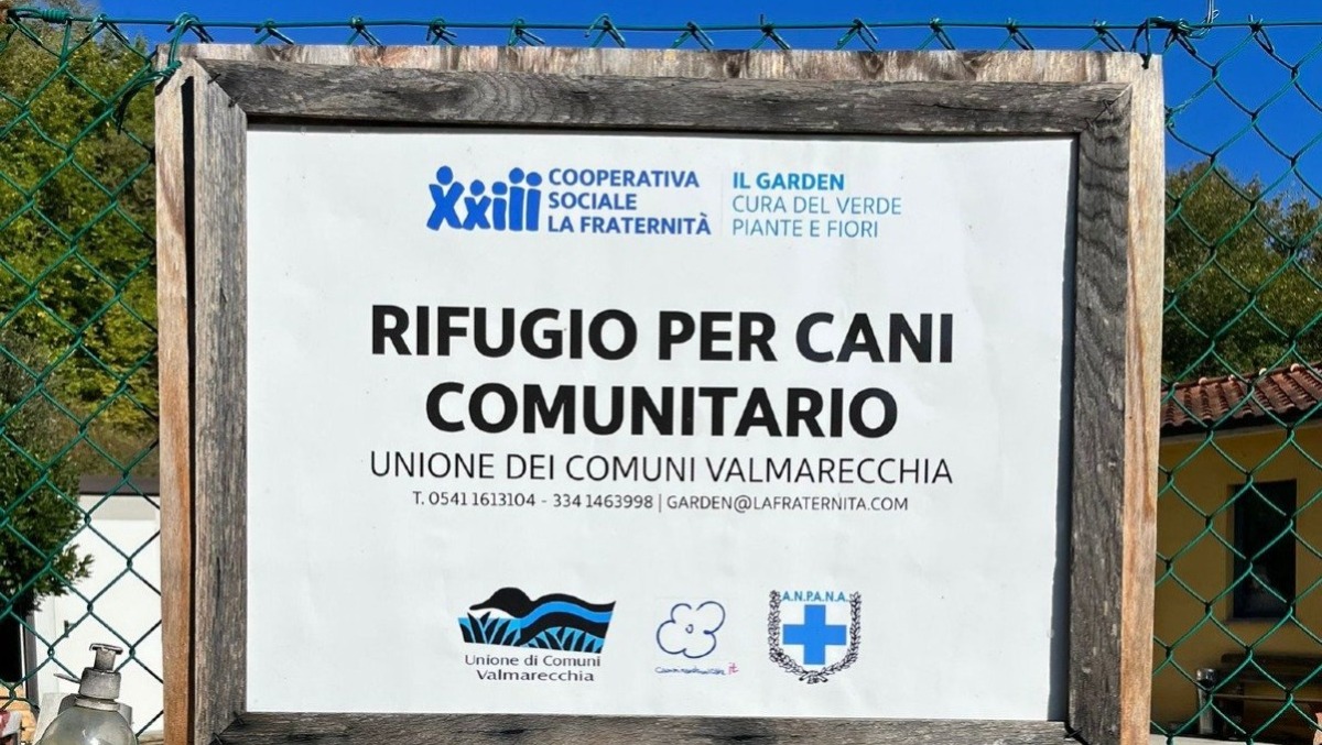 Canile di Talamello, i lavori ripartiranno presto: conclusione prevista entro la primavera 2026 -