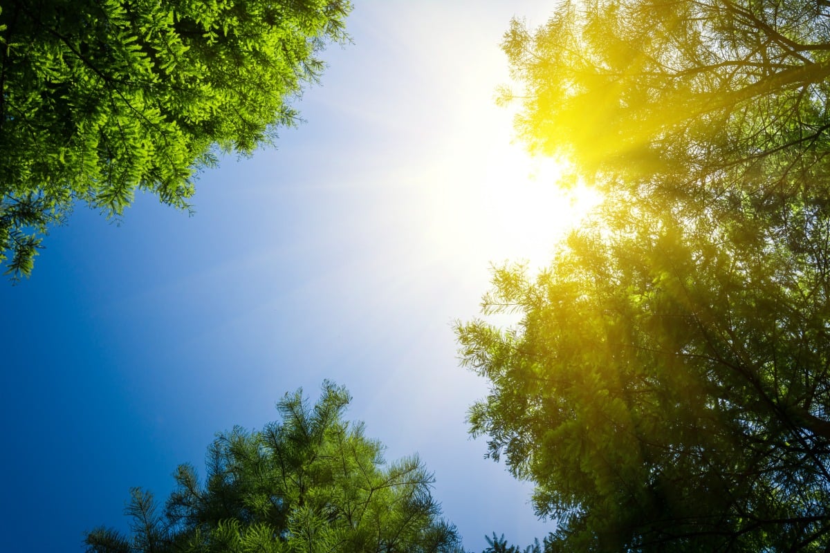 Clima 2040, in Ue si cerca il compromesso: possibile revisione del target ogni due anni -