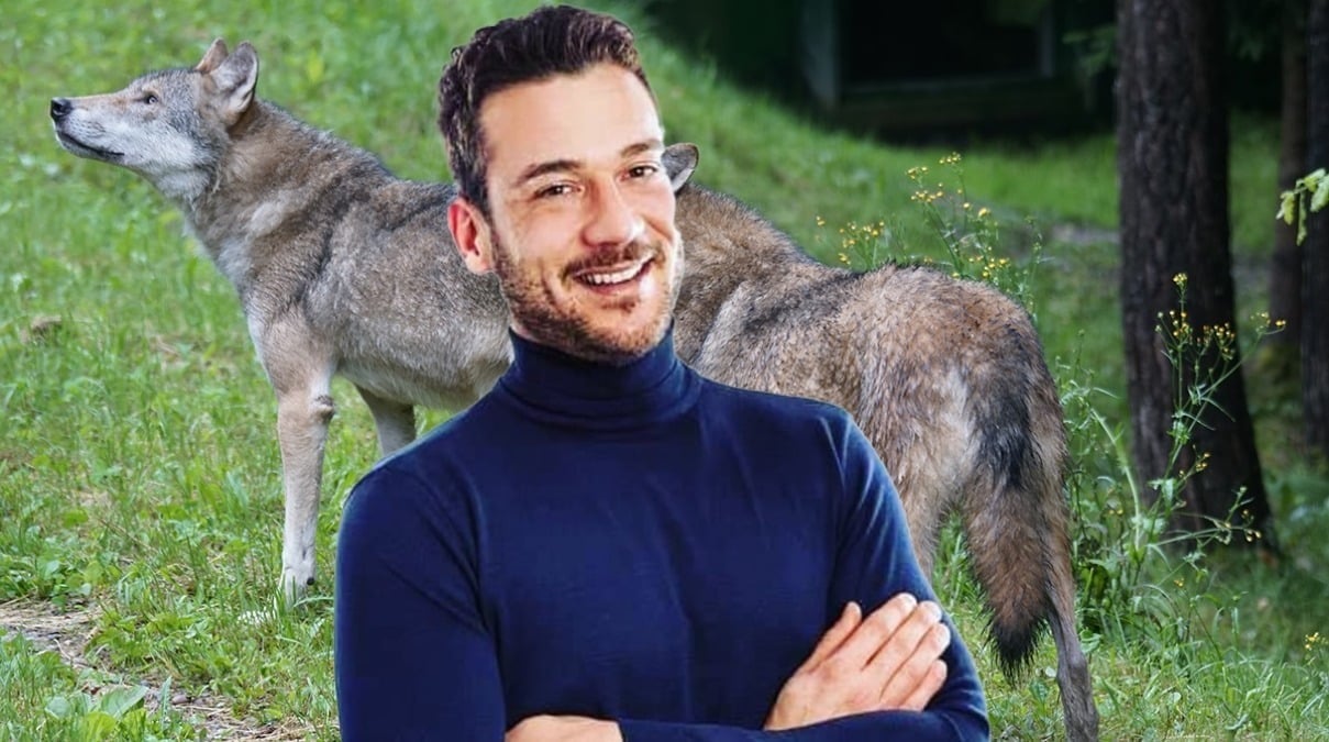 L'emergenza lupi di Rimini sotto i riflettori di Canale 5: arrivano le telecamere di Mattino 5 - Marco Succi, presidente del Forum del Quartiere 11