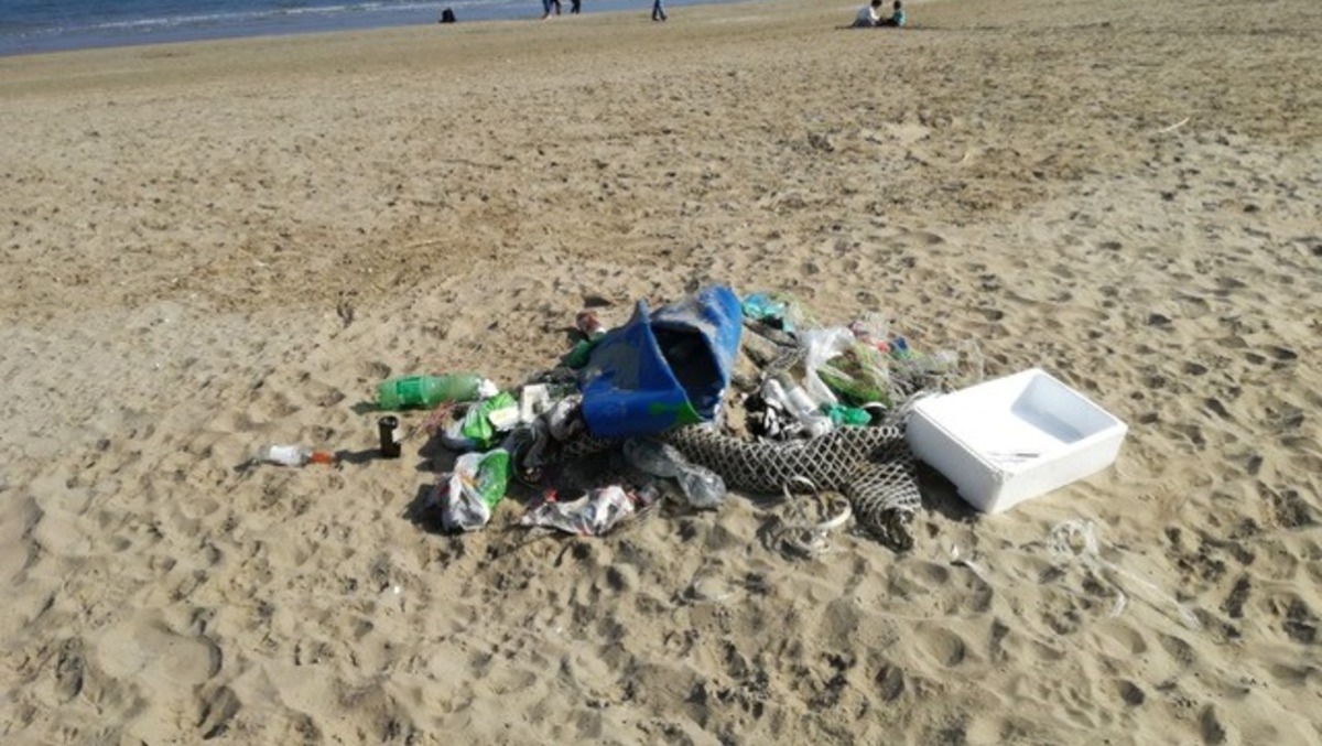 Parte da Rimini l’alleanza per il mare: città e paesi costieri uniti per la salute e l’ambiente - Plastica in mare