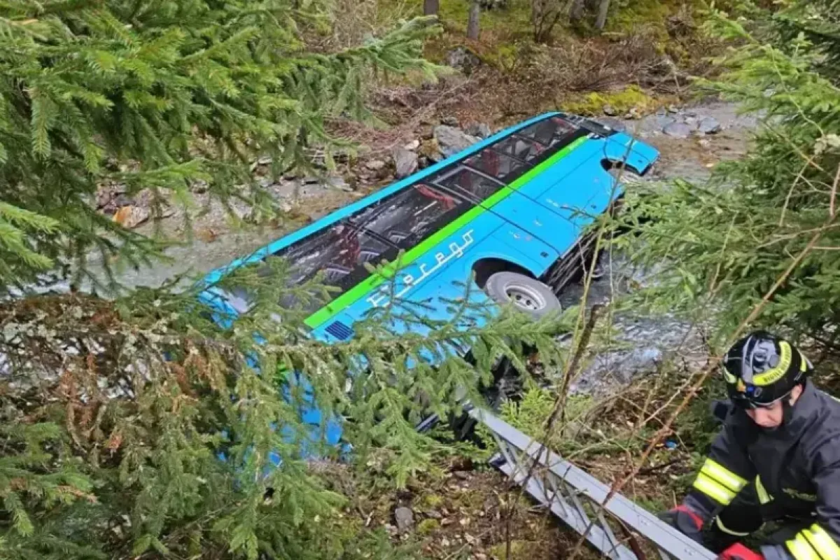 Scuolabus esce di strada e finisce nel torrente: cinque feriti in Valtellina - © Ansa