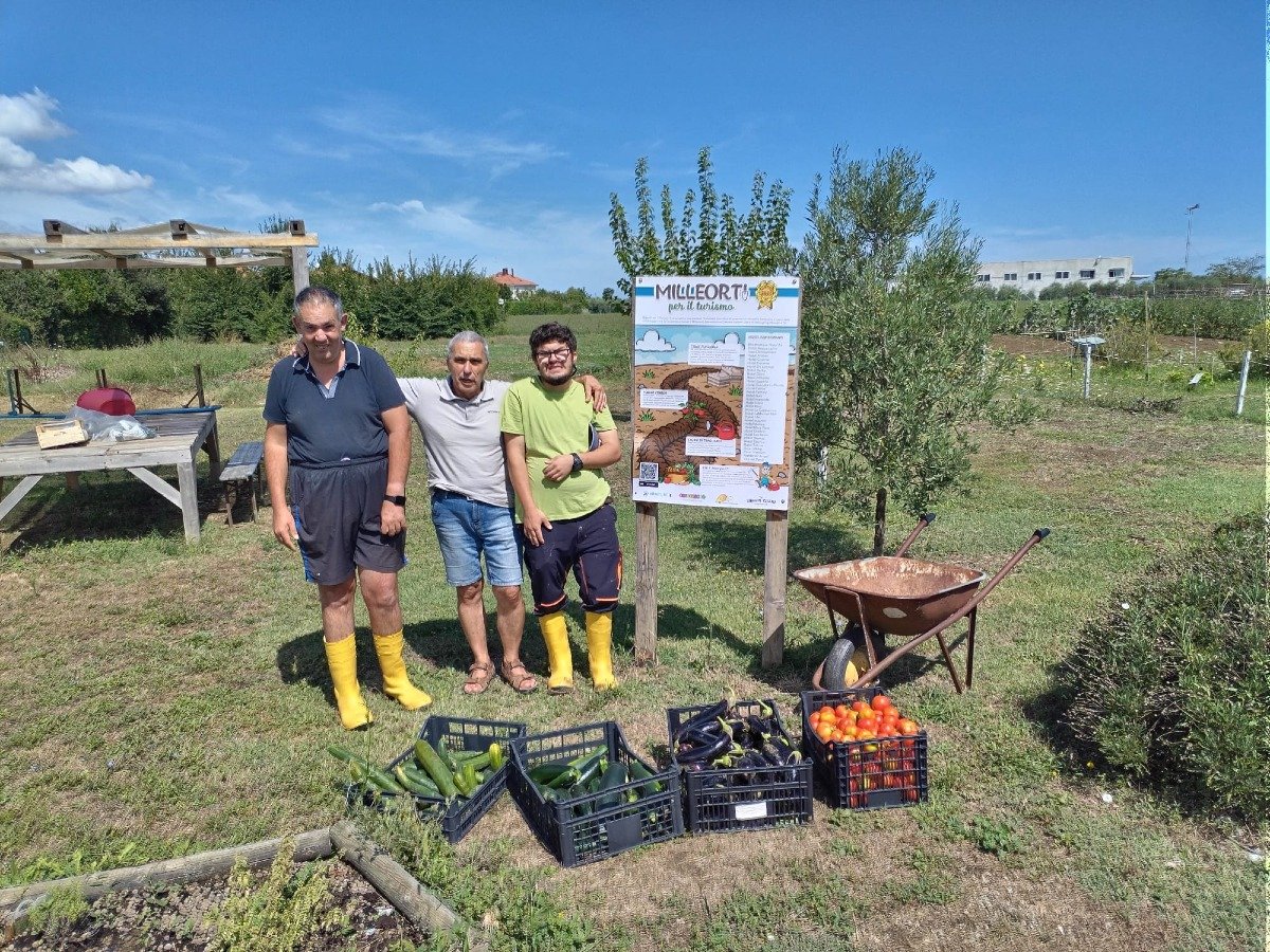 Rimini: il progetto Milleorti promuove l'inclusione. 500 Kg di ortaggi donati - 