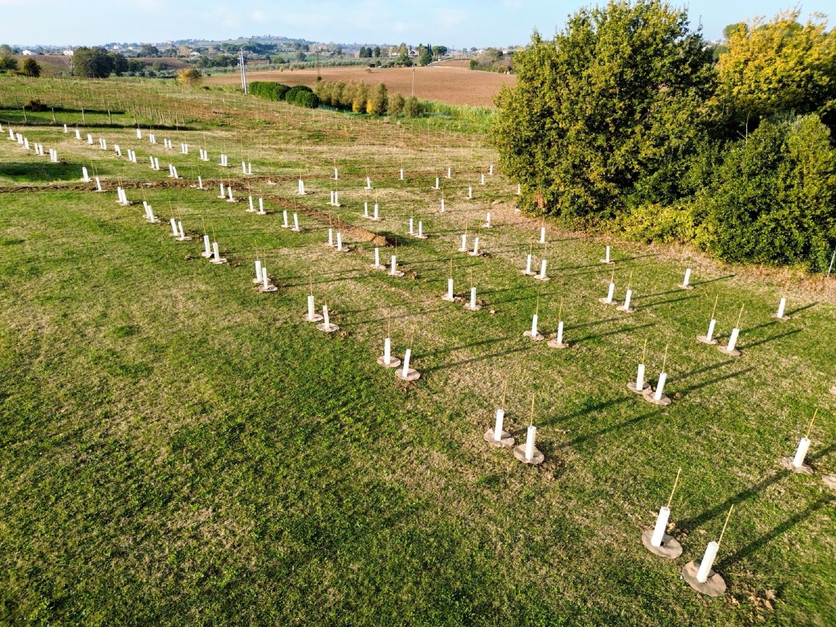 Misano Adriatico investe nella sostenibilità ambientale - 