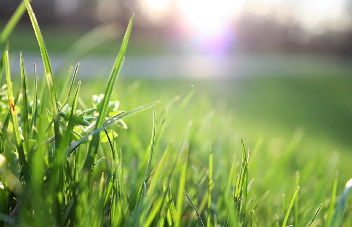 Rigenerazione urbana: workshop e tavoli di lavoro che collegano esperienze italiane ed europee  - 