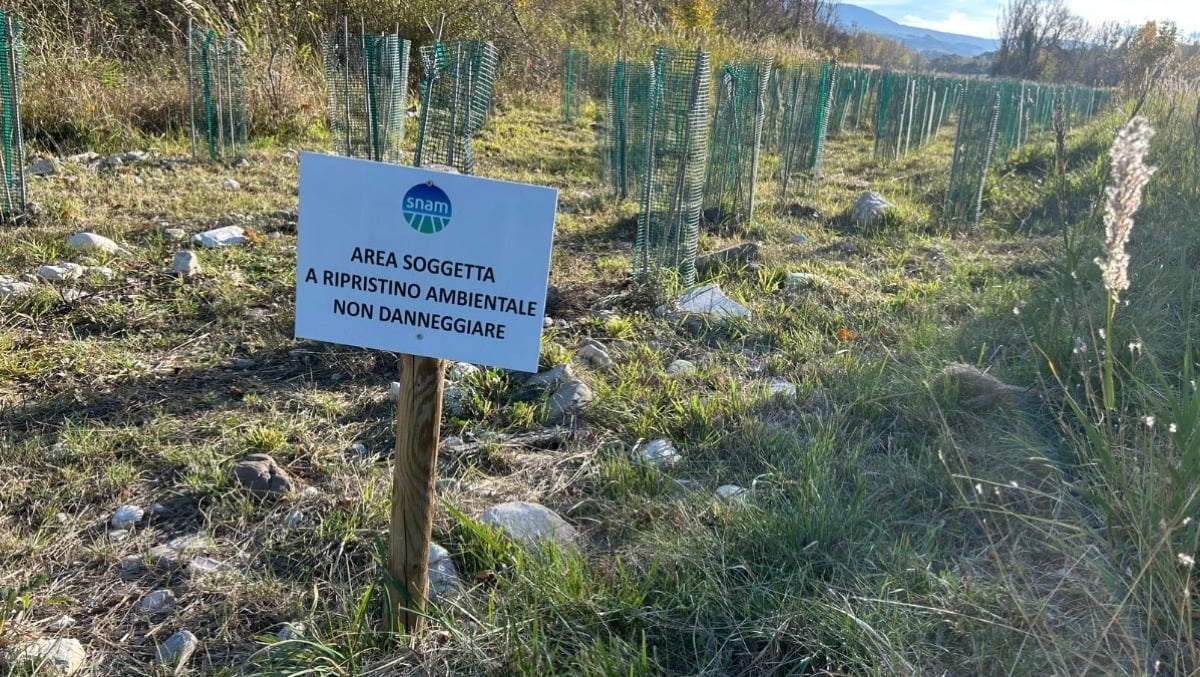 Conclusi i lavori del metanodotto a Novafeltria: nuove piantumazioni per ricreare l’ecosistema - 