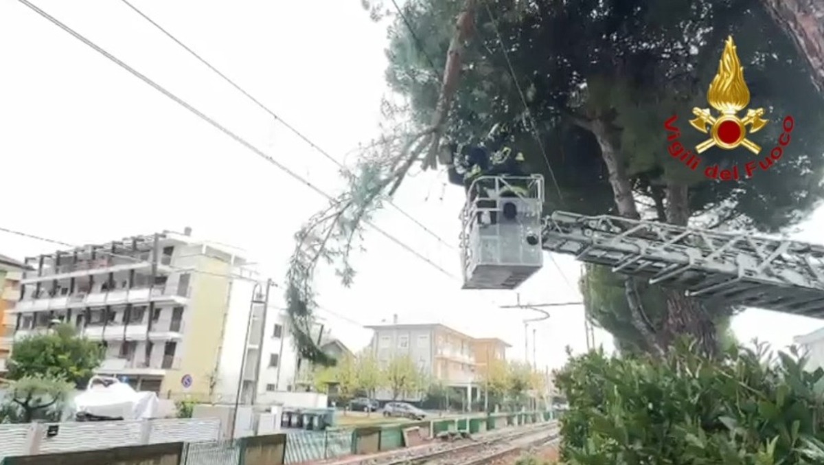 Maltempo, ramo pericolante sopra ai cavi dell'alta tensione: intervengono i Vigili del Fuoco - 