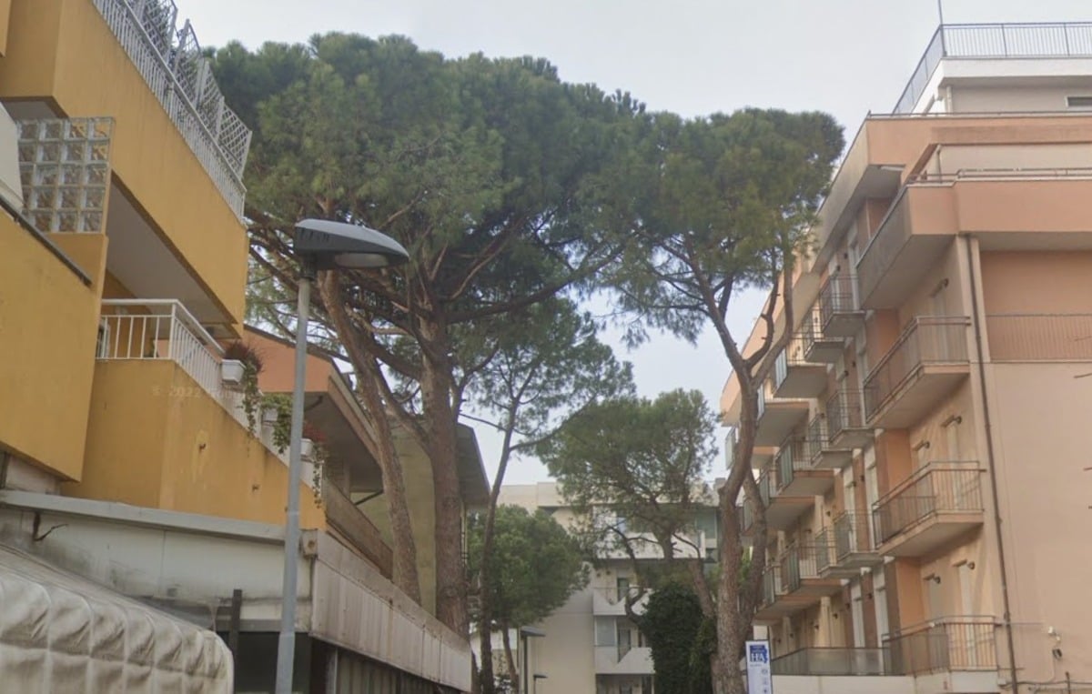 Rimini, il comune "ordina" all'albergatore di abbattere i suoi 8 pini: danneggiano l'asfalto - Viale Torino, Bellariva di Rimini (foto da Google Maps)