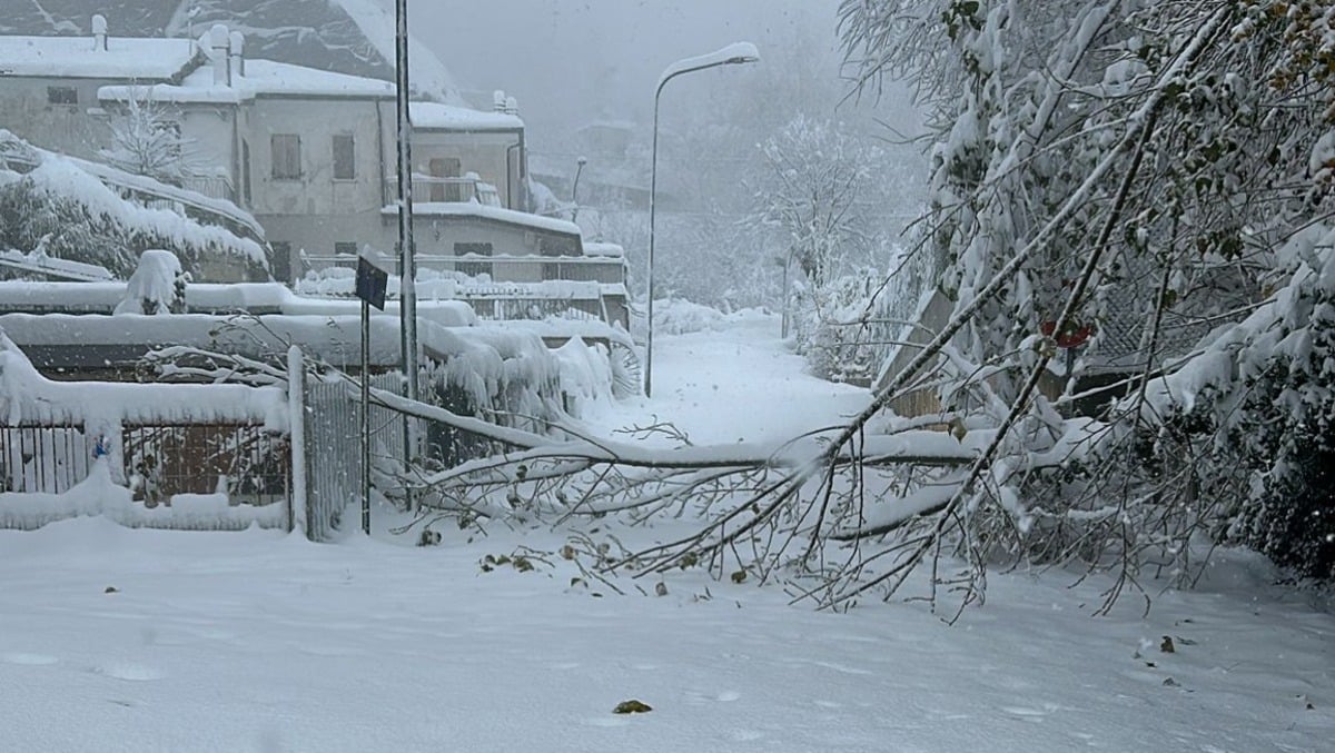 Alberi caduti a Perticara, Sant'Agata senza corrente: disagi da maltempo in Alta Valmarecchia - Albero caduto a Perticara PH Cesare Bianchi