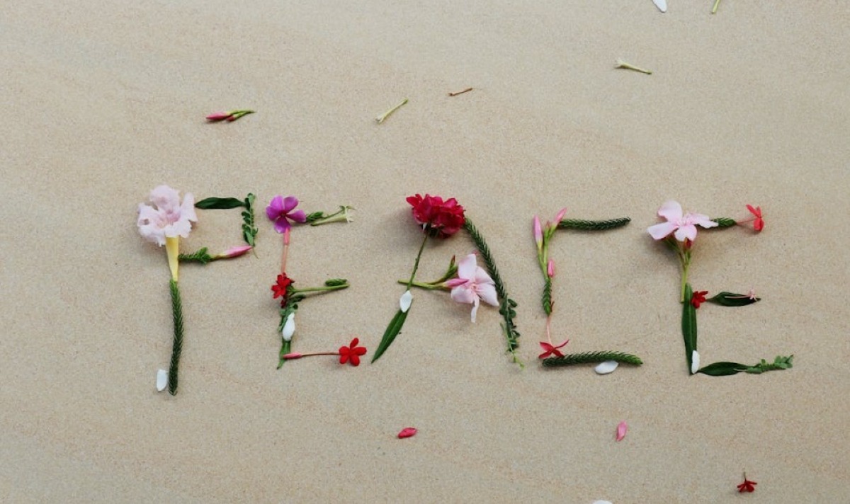 Rimini accende il dibattito sulla pace: incontro “Costruire la Pace in un mondo di guerra” - 