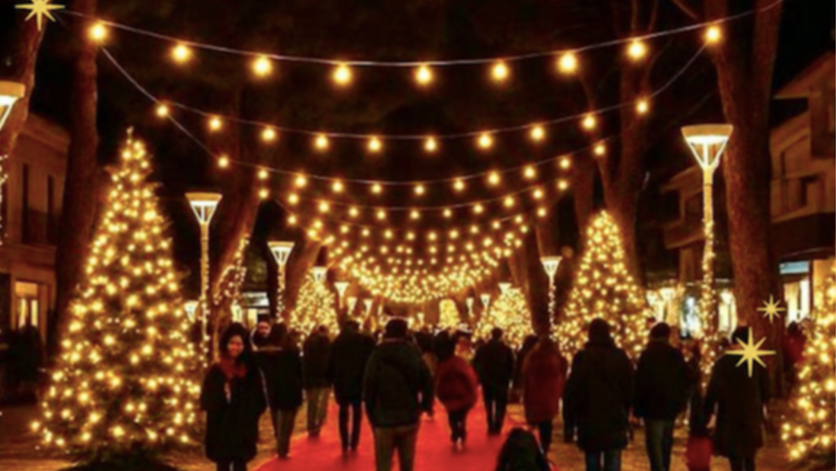 A Cattolica si accende il Bosco di Luce: al via gli eventi natalizi - 