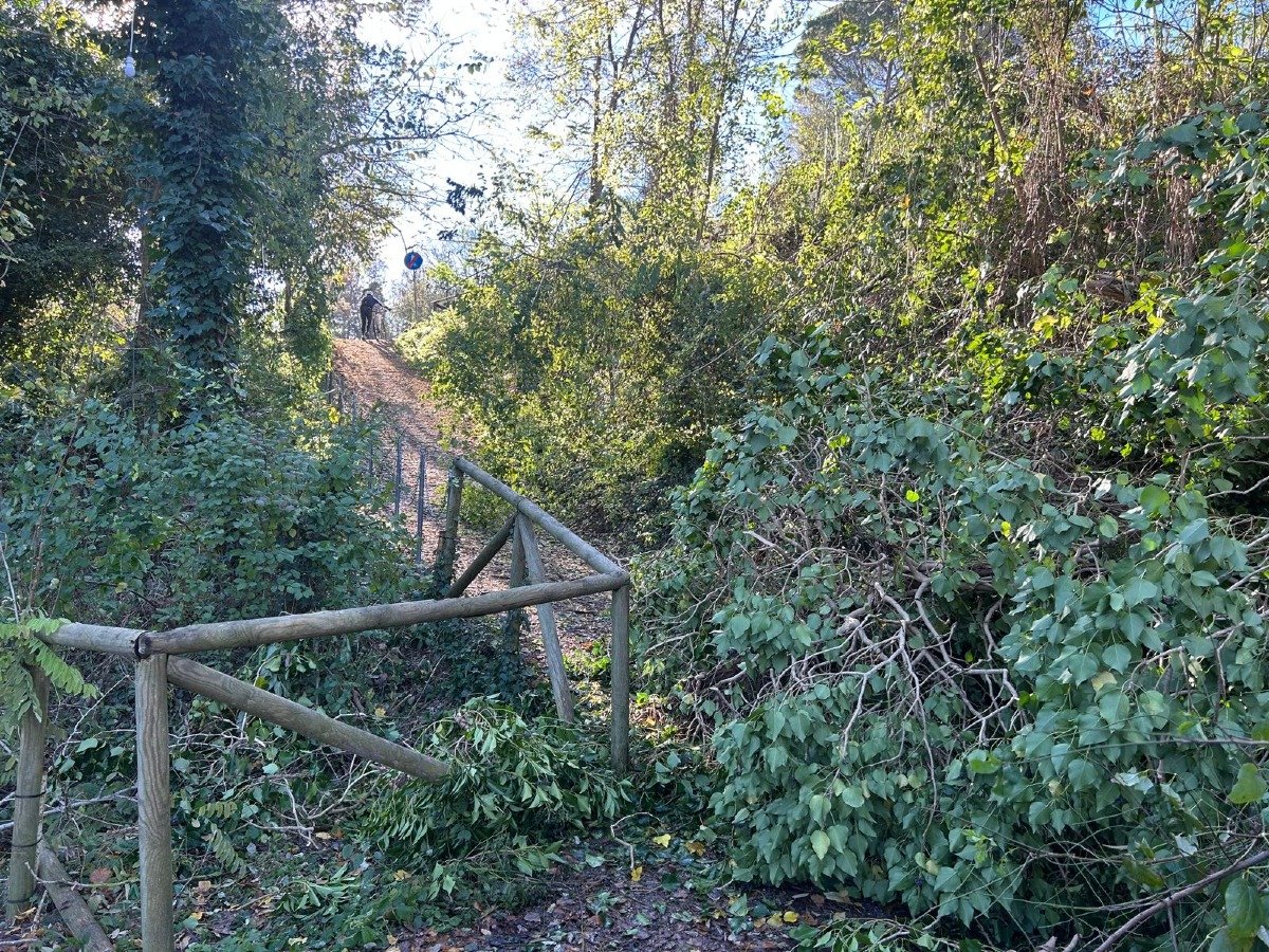 Novafeltria: alberi caduti sulla ciclabile, disagi per gli escursionisti - Parco Ivan Graziani Novafeltria