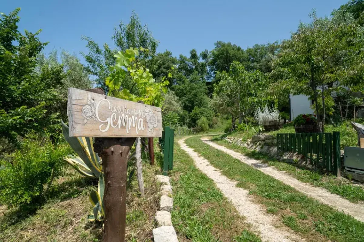 Famiglia nel bosco accetta una casa temporanea: “Non un passo indietro, ma avanti” - © Ansa