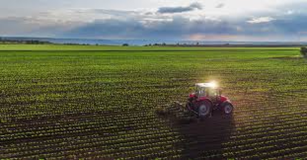 Agricoltura sotto pressione: la Regione sblocca 215 milioni per le imprese - 