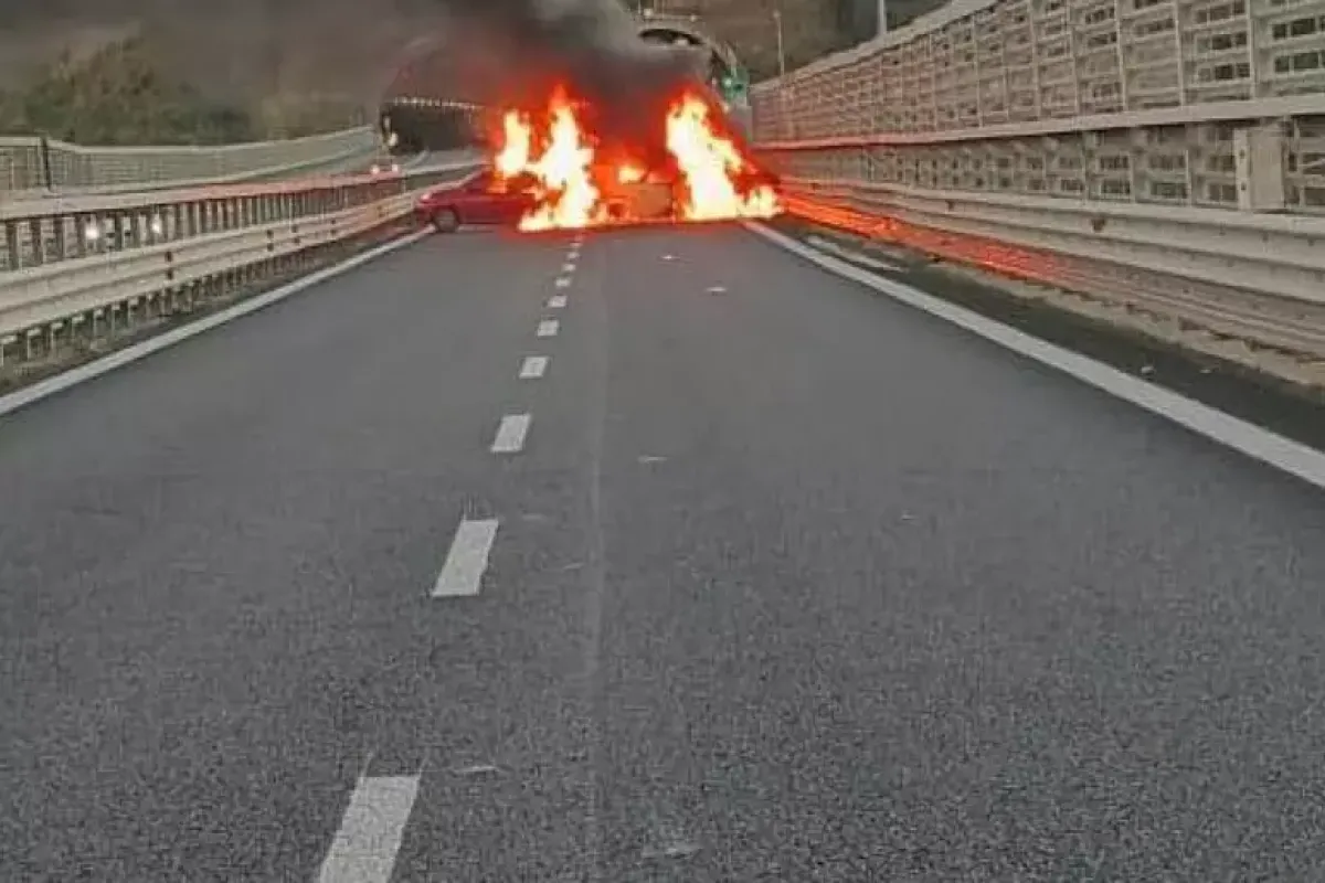 Assalto da 2 milioni sull'A2 in Calabria: furgone portavalori bloccato e rapinato in galleria - © Ansa