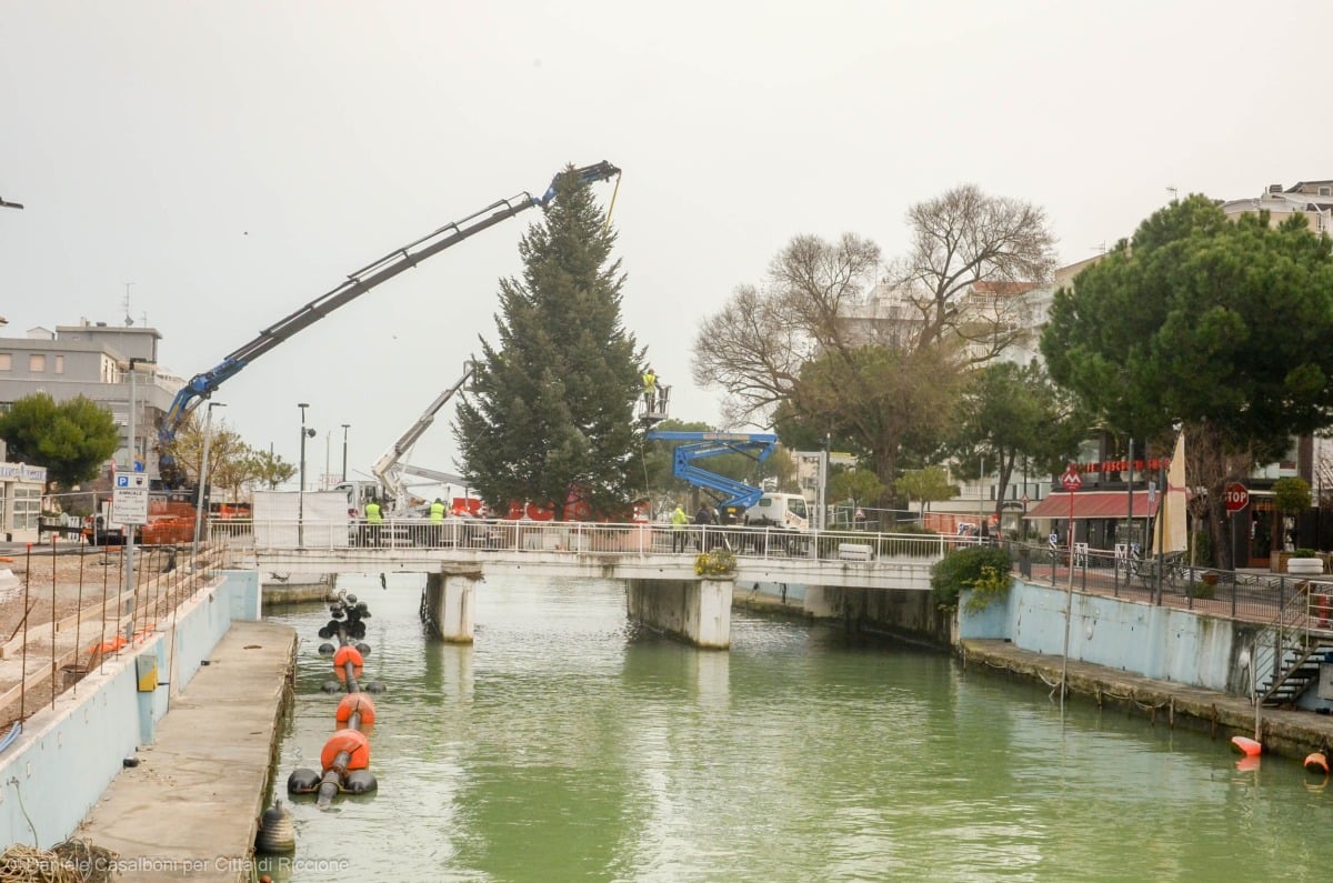Riccione, ecco l'albero di Natale: è alto 15 metri e arriva dal Trentino - Ph Casalboni