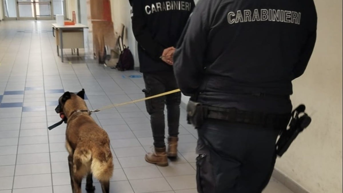 Scuole sicure a Rimini: i Carabinieri intensificano i controlli antidroga - 