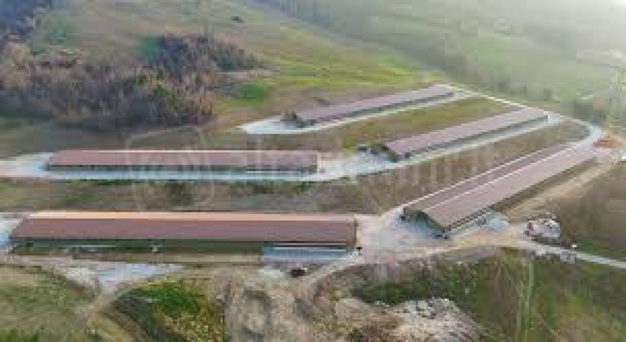 Caso Fileni: l’Unione dei Comuni apre al dialogo con il Comitato per la Valmarecchia - 