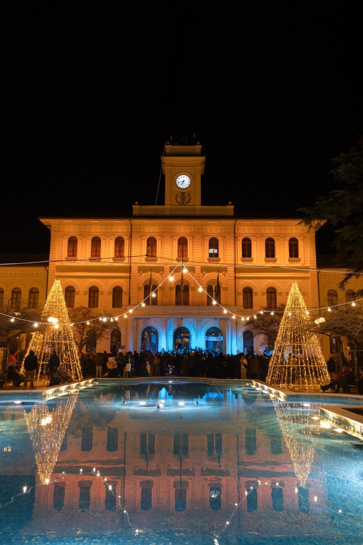 Capodanno a Cattolica: il Bosco di Luce si accende tra musica, dj set e grandi brindisi - 