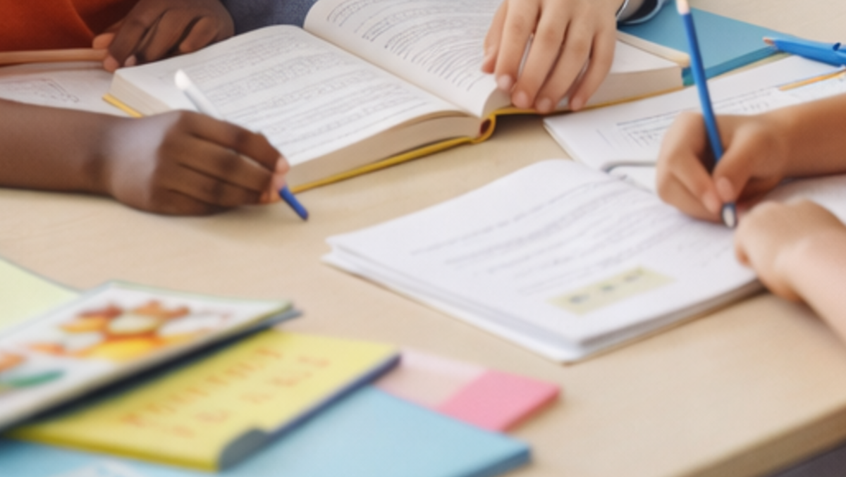 Rimini e Bellaria, via libera al doposcuola inclusivo per minori con fragilità - Scuola, doposcuola REPERTORIO