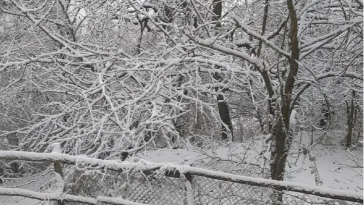 Black out continui con neve e maltempo a Sant'Agata Feltria: "Problemi strutturali da risolvere - Neve a Sant'Agata Feltria