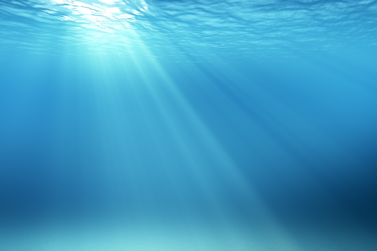 Nel 2025 nuovo record per le temperature degli oceani - 