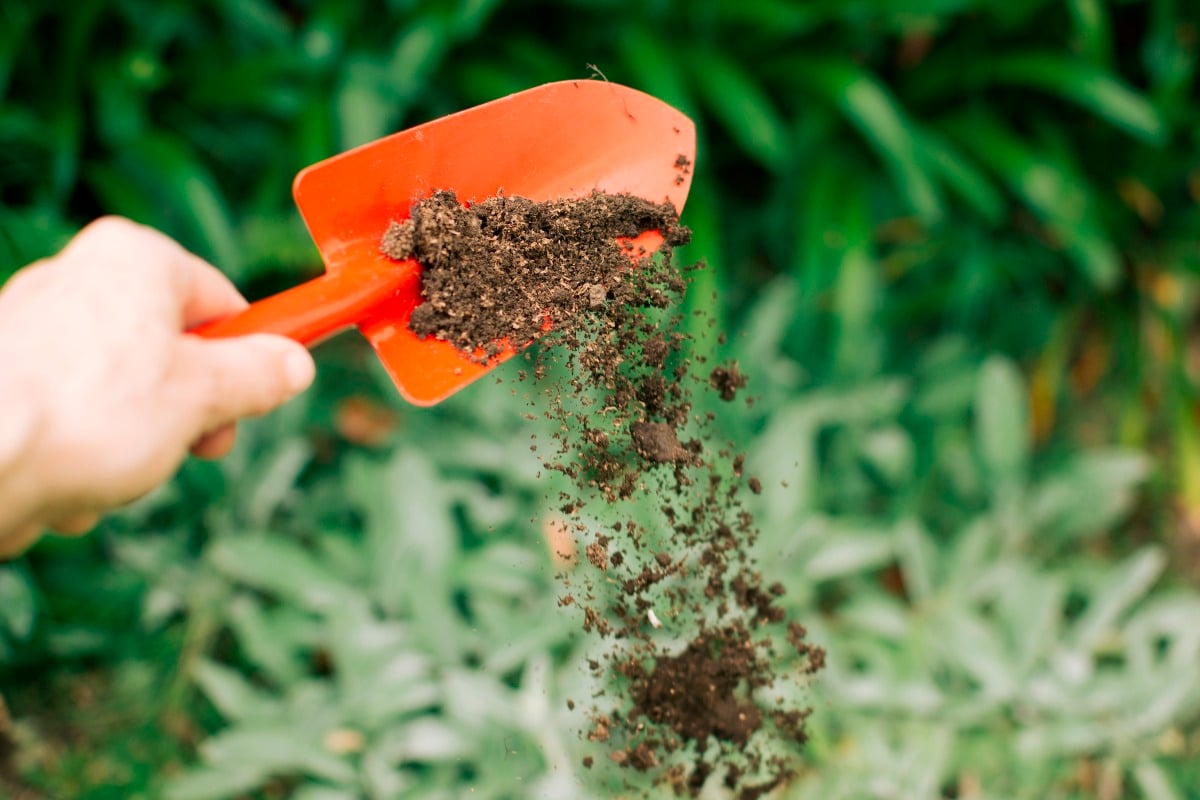 L’Ue sospende temporaneamente i dazi sui fertilizzanti - 