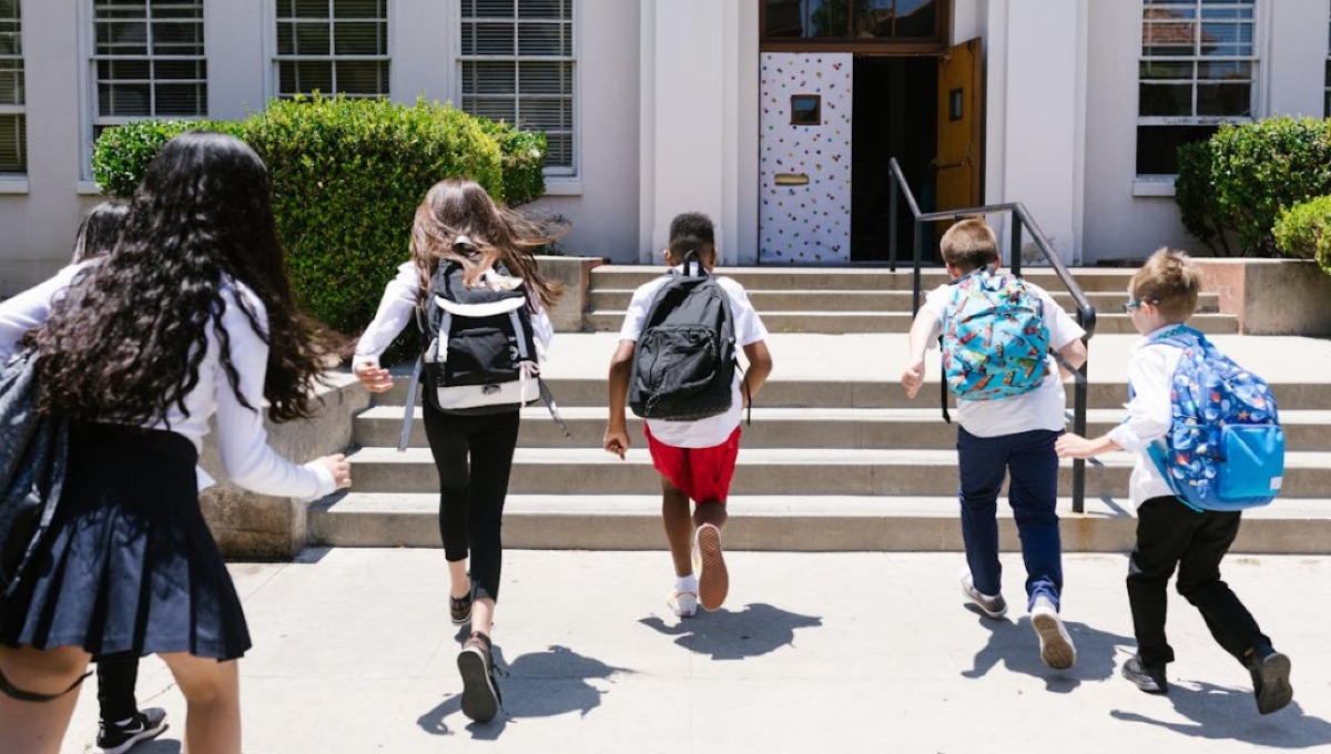 Rimini conferma il Piedibus: 14 linee attive per la mobilità sostenibile - archivio