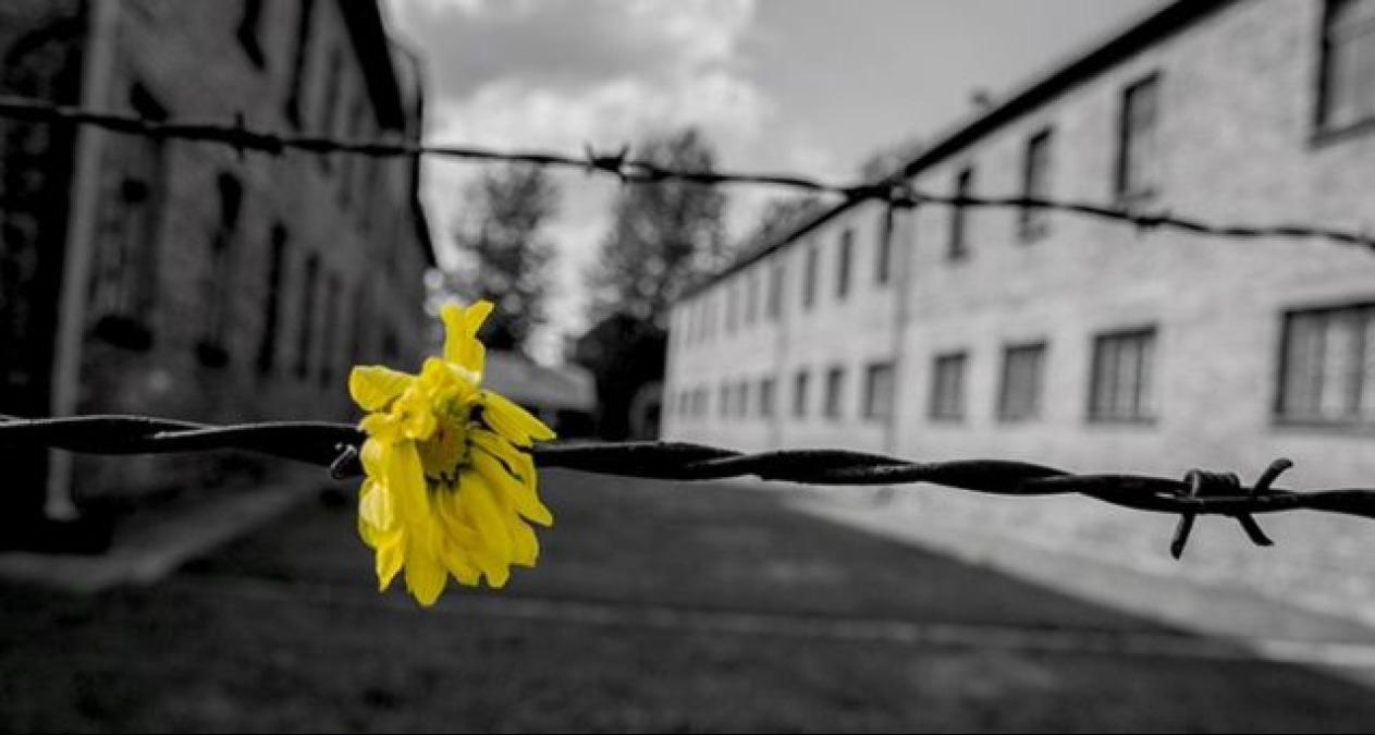 Shoah e diritti umani: l'Emilia Romagna celebra la Giornata della Memoria - 