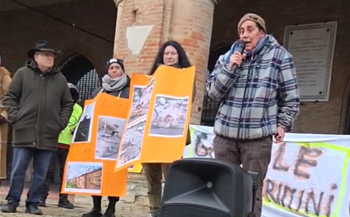 Rimini, protesta in piazza per i gatti della ex "Giulio Cesare": "Quale futuro per i 70 felini?" - La protesta in piazza Cavour
