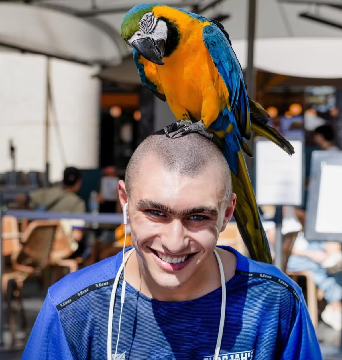 Achille Costacurta interrompe il ritiro spirituale in India - Uno scatto di Achille Costacurta durante il suo viaggio tra Australia e India (Instagram Achille Costacurta, foto a Sydney