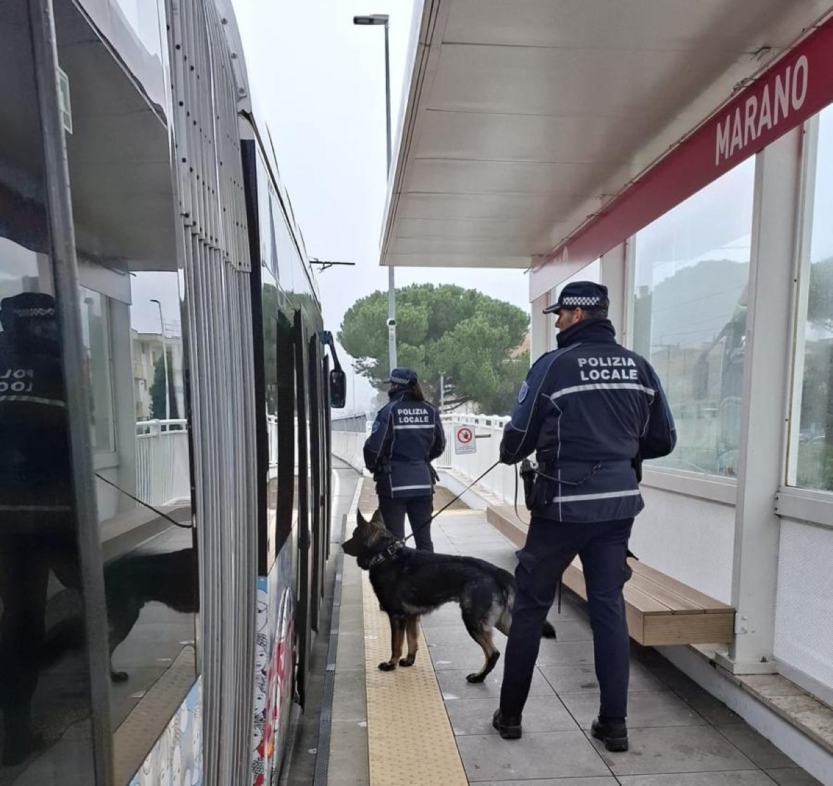Riccione, sicurezza Metromare: controlli costanti, oltre cento interventi in tre anni - 
