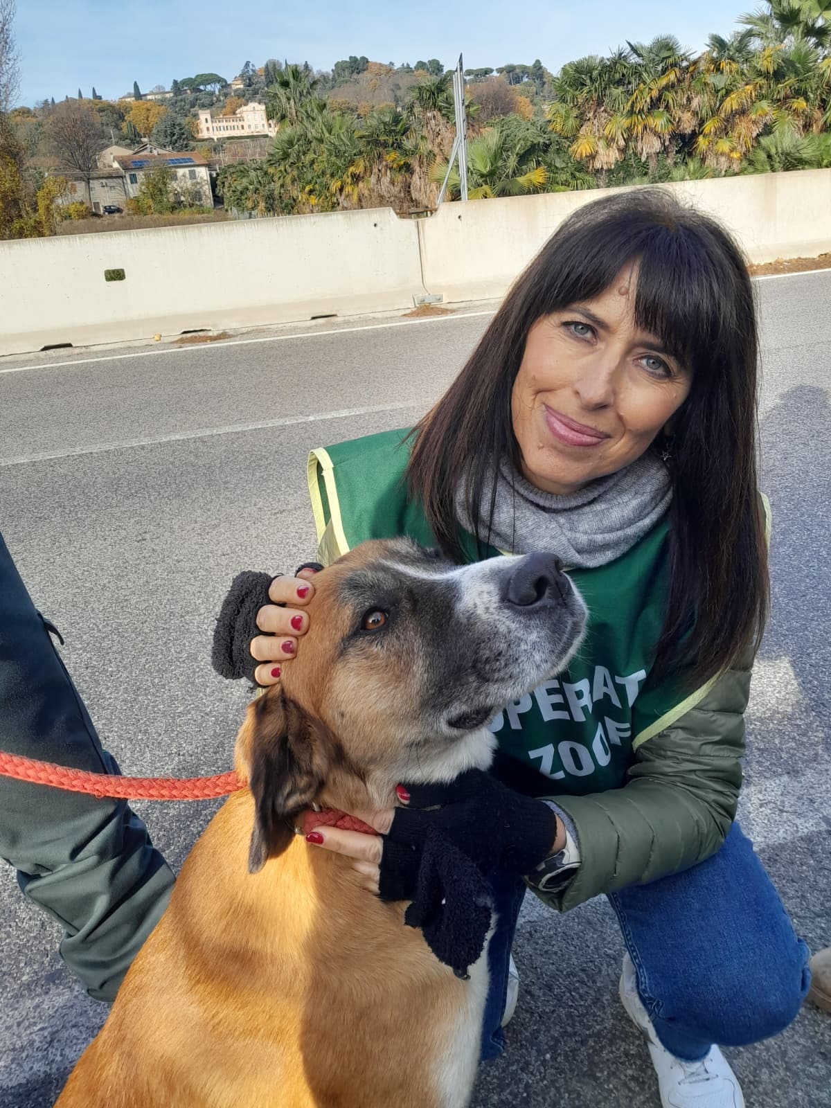 Tutela degli animali a Rimini: 120 interventi e oltre 500 segnalazioni delle Guardie Zoofile - 