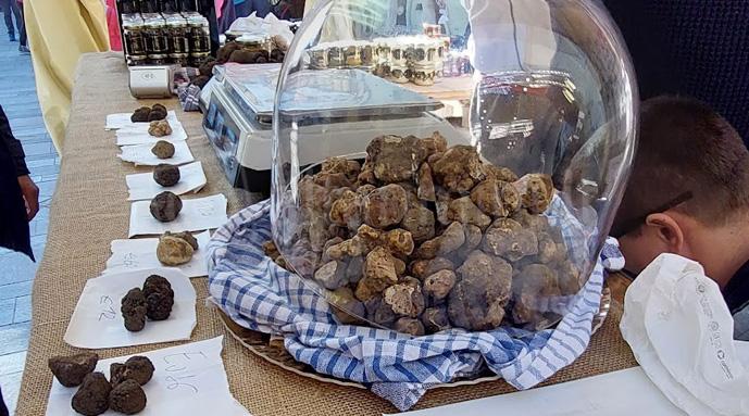 Una campagna per promuovere il tartufo: la Regione investe sul prezioso tubero - 