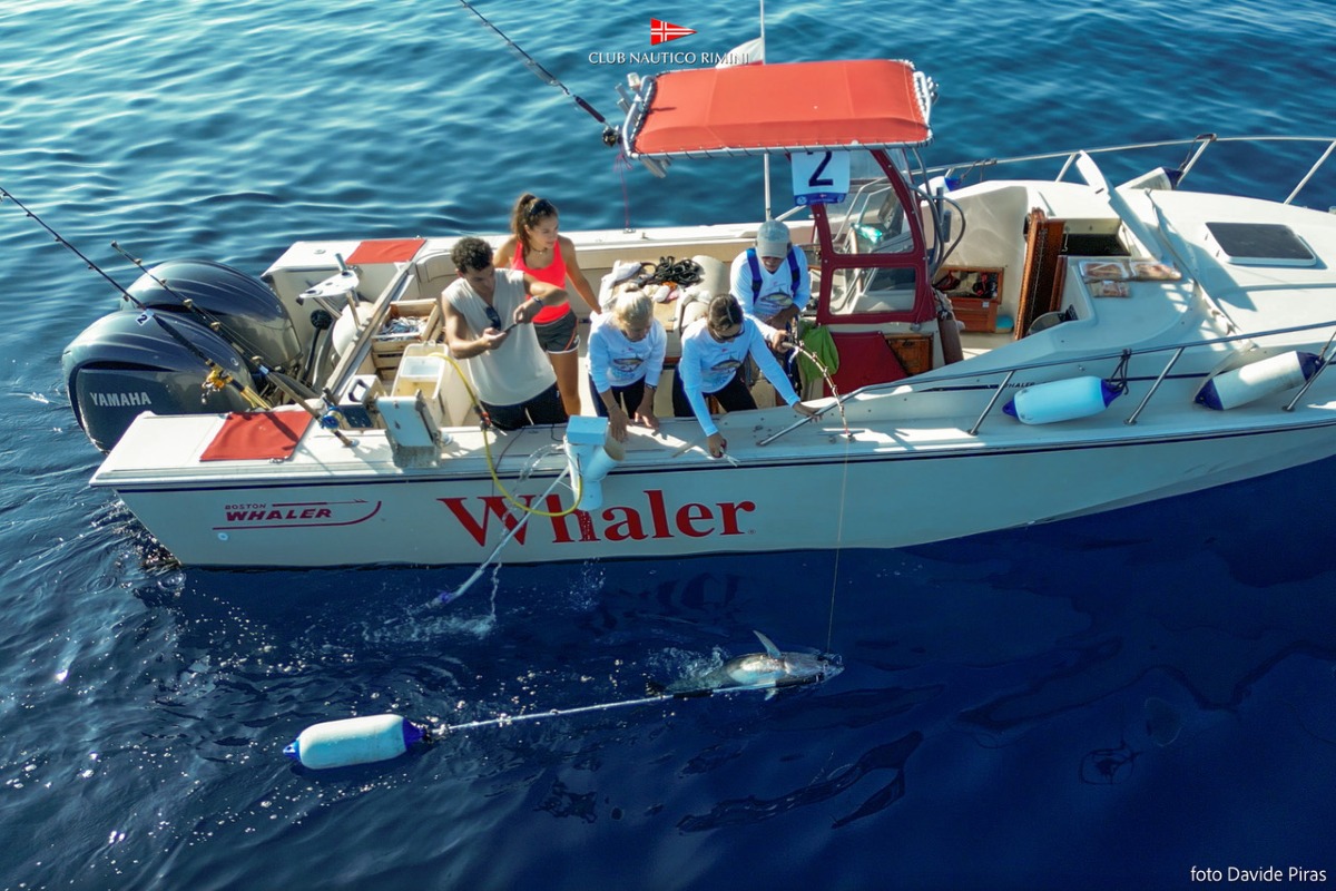 Pescare Show 2026: il Club Nautico Rimini porta la pesca sportiva e la Scuola di Mare in fiera - 