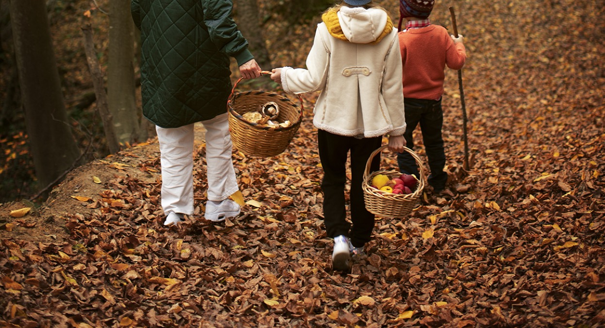 Famiglia nel bosco, arriva la sorella di Catherine: possibile rientro dei bambini in Australia - Repertorio