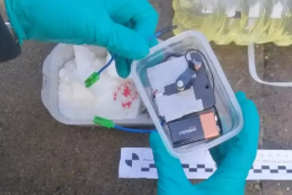 Sabotaggio alla linea ferroviaria di Pesaro, la rivendicazione degli anarchici de “La Nemesi” - © Ansa