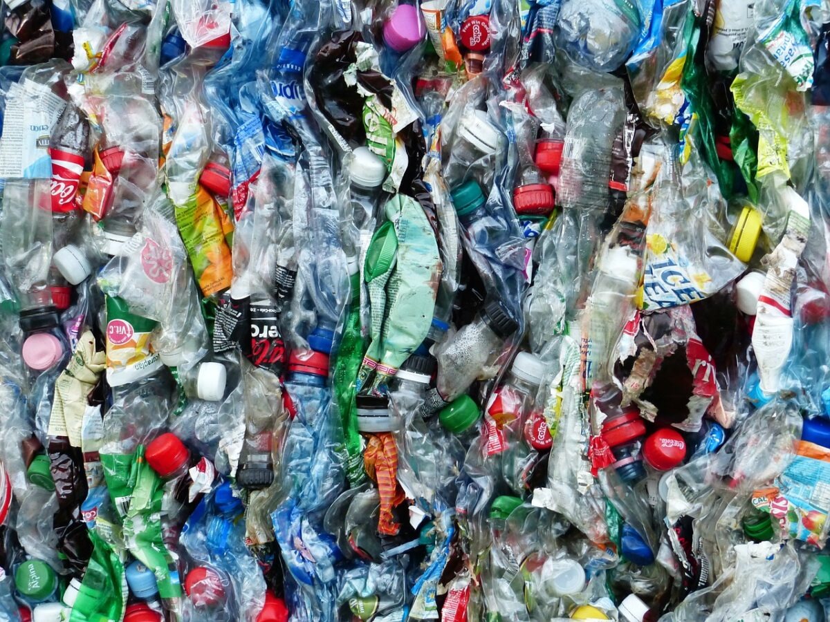 Rimini contro l'inquinamento da plastica: nasce l’Alleanza delle Città e dei Paesi di Mare - 