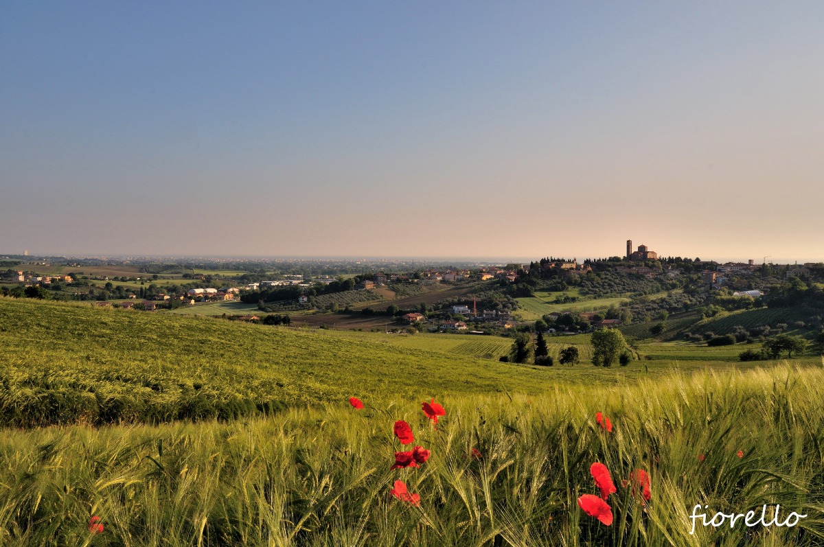Coriano lancia una campagna di sensibilizzazione per la sicurezza idraulica e stradale - 