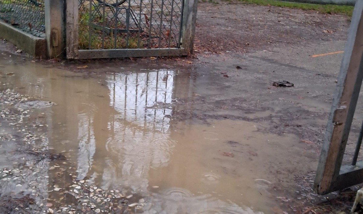 Piove e l’ingresso della scuola diventa un "percorso a ostacoli". La segnalazione - 