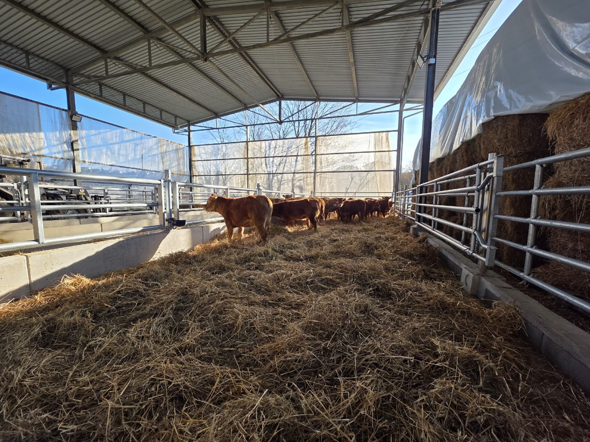 San Marino: avvio operativo del progetto di rilancio del Centro Zootecnico di Gaviano - 