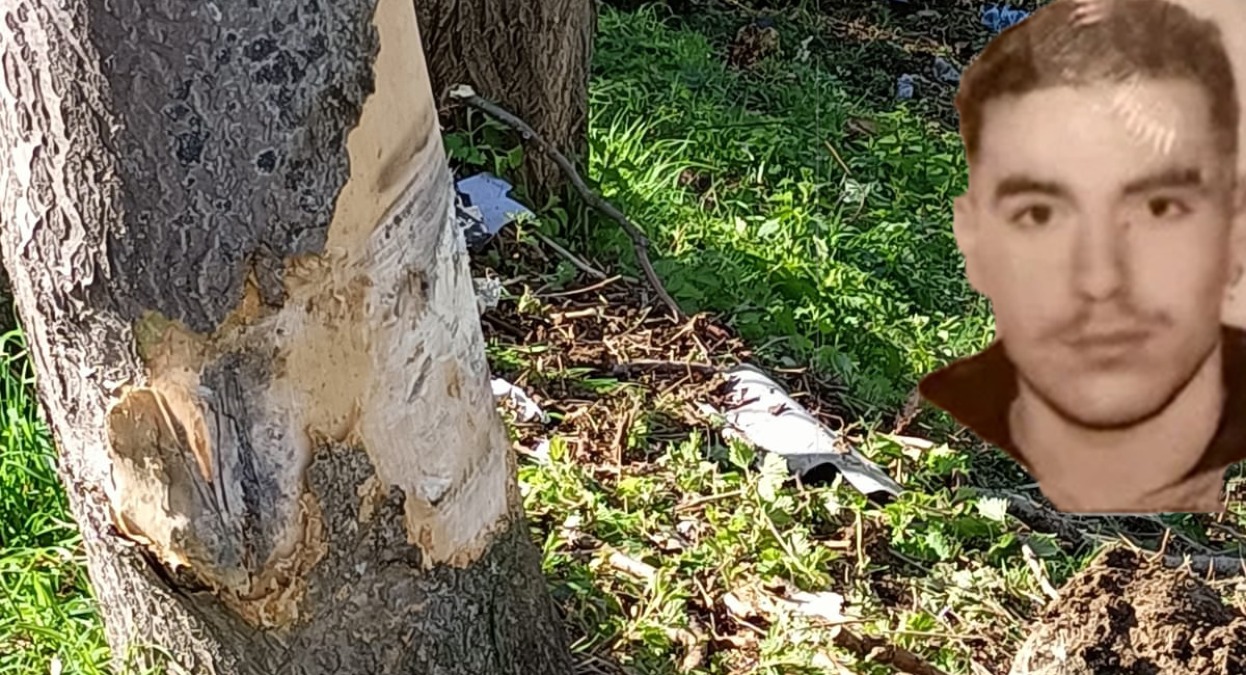 Una vita spezzata a 19 anni, chi era Michele: la giovane vittima di Morciano - Il luogo dove è avvenuto l'incidente